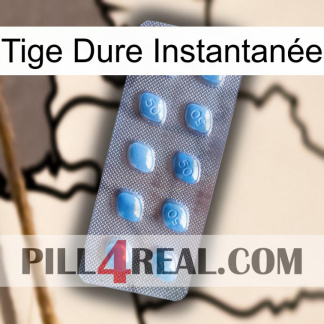 Tige Dure Instantanée viagra3